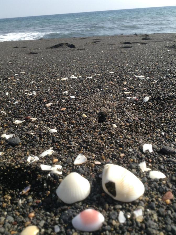 Aparthotel El Arrecife Martin Pescador Taxisco Zewnętrze zdjęcie